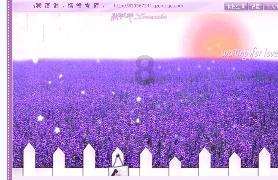 拳皇命运手游