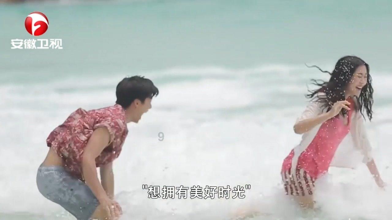 救援小棕兔