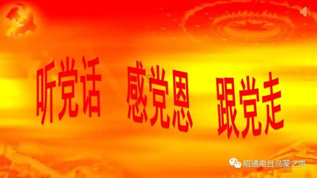 拯救可爱袋鼠