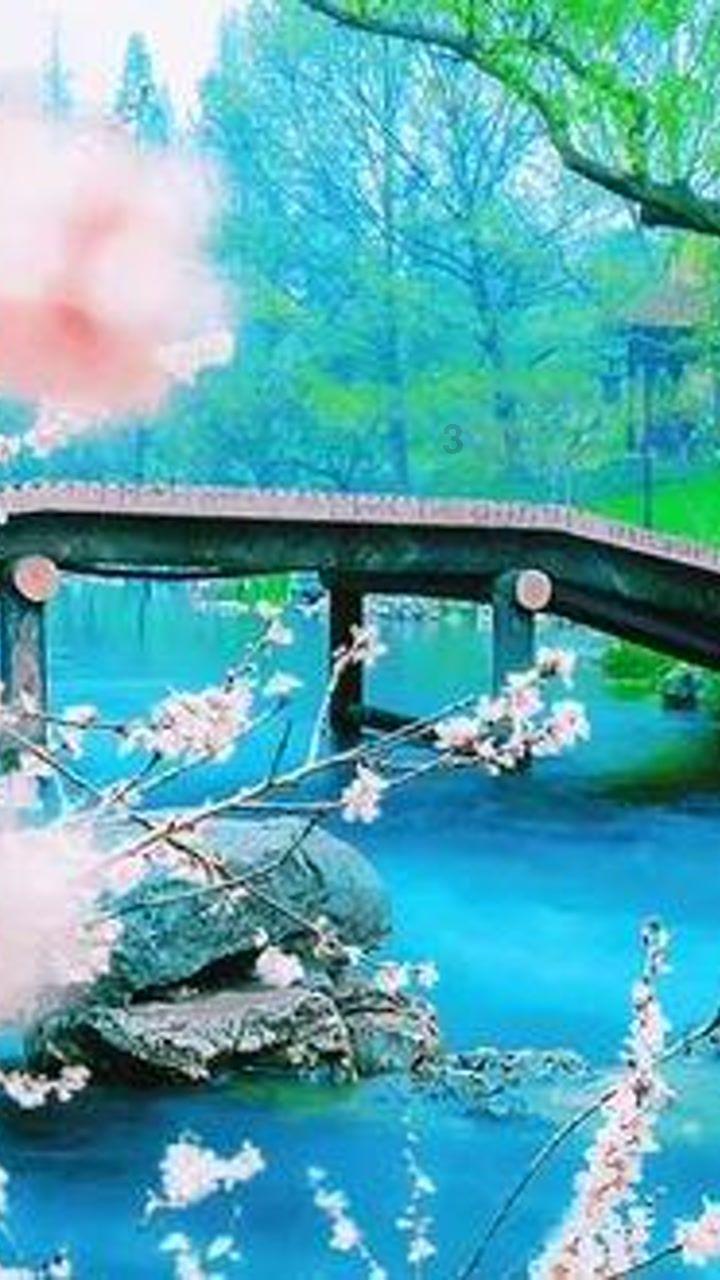 神秘的午夜